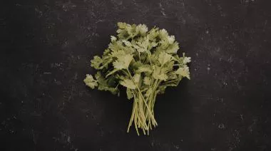 garnishing-instructions-image